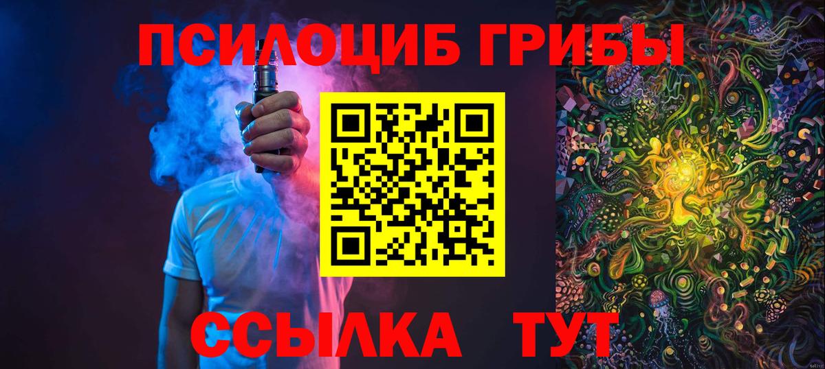 Псилоцибиновые грибы прущие грибы  где купить наркоту  Городец  Вход с VPN  Галлюциногенные грибы Magic Shrooms 